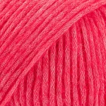 64 raspberry sorbet