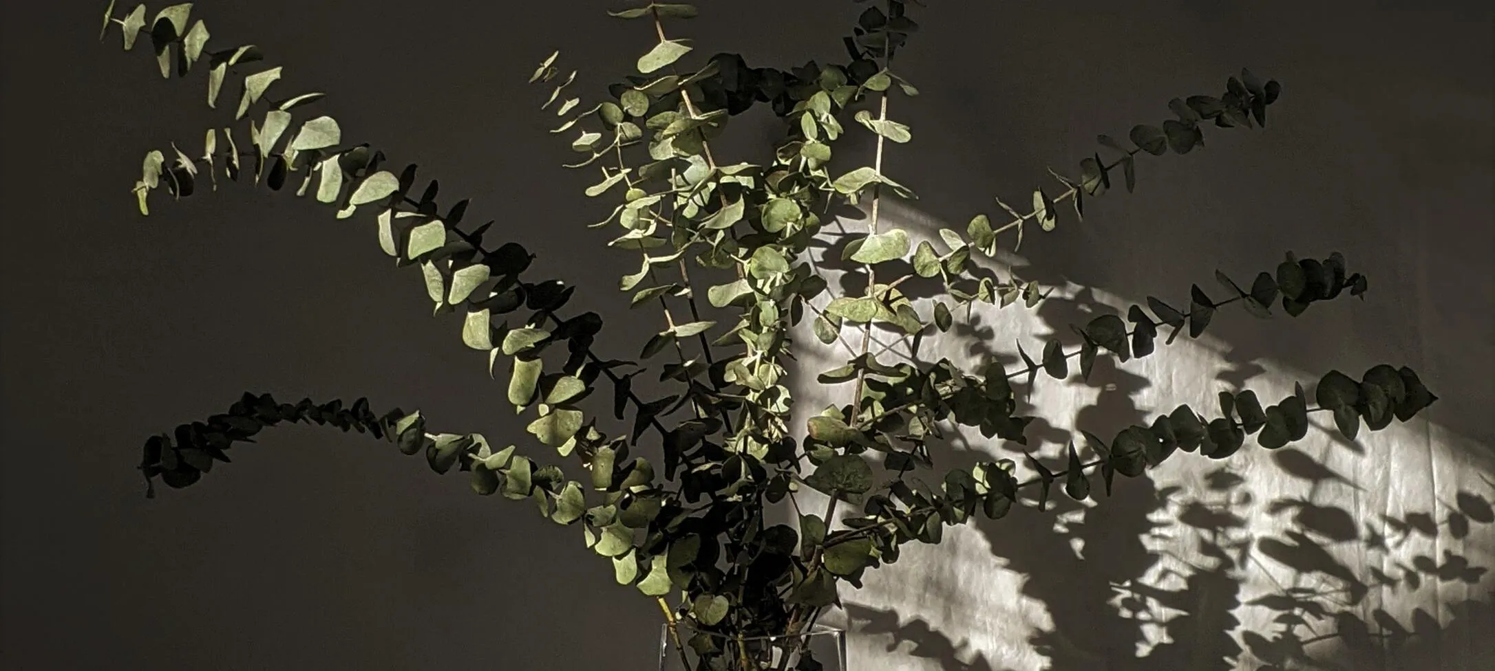 imgi 7 susan wilkinson GG0n1GA6HaI unsplash 1 1 2 fire naturale de crosetat