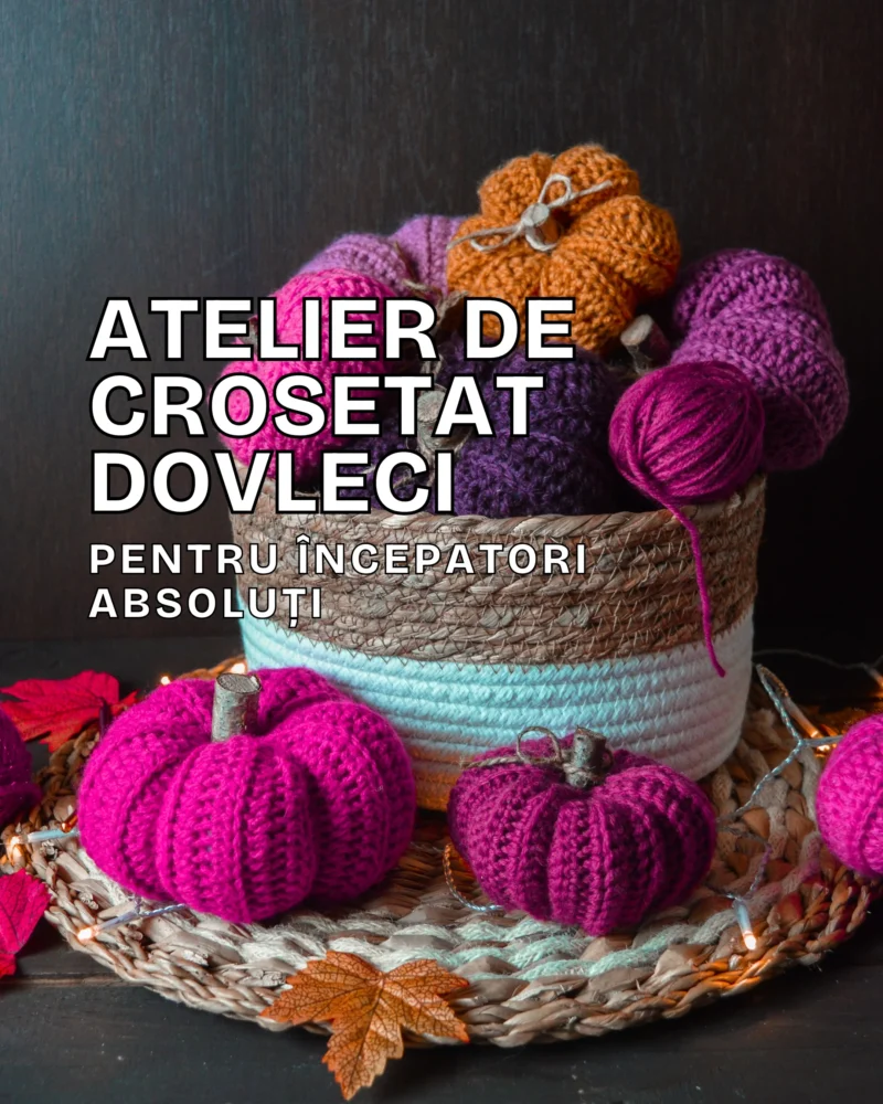 Atelier de Croșetat Dovleci pentru Începători Absoluți