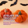 atelier de tricotat dovleci