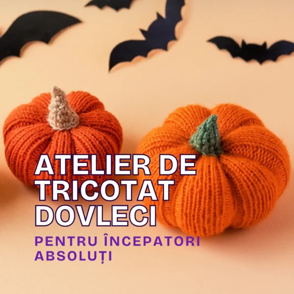 atelier de tricotat dovleci