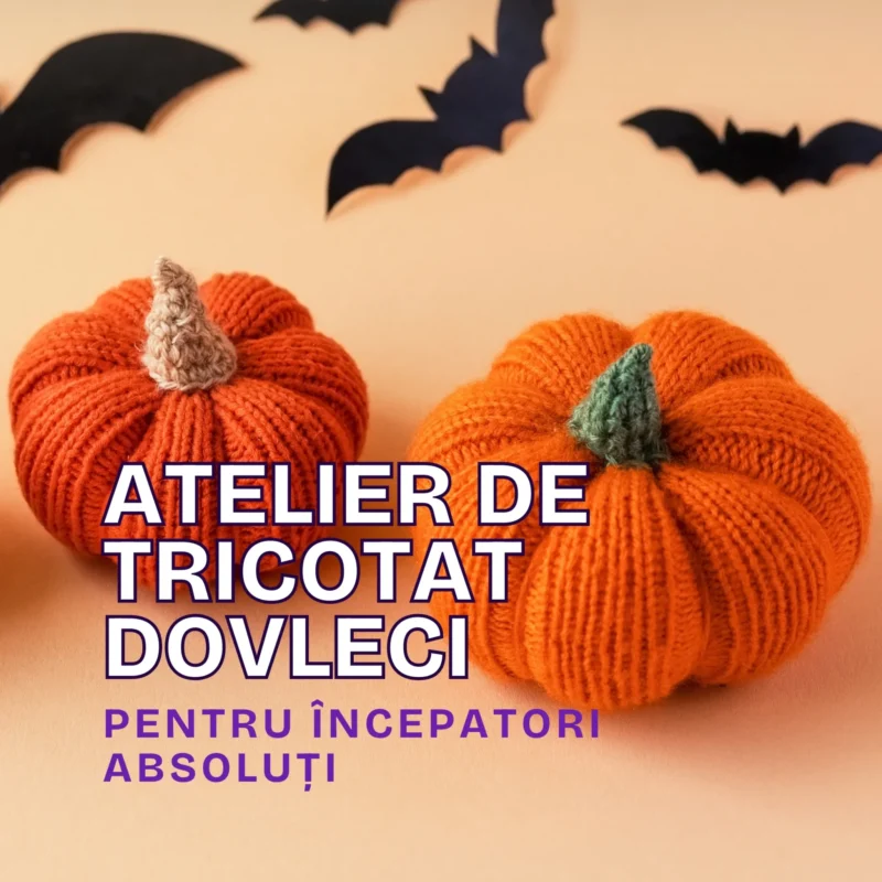 atelier de tricotat dovleci