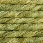 SA037 Lettuce